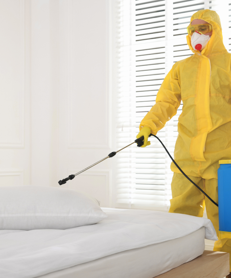 Professional Pest Control Team in Ironbank